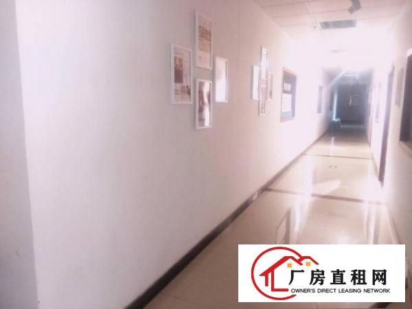
		惠阳新圩东风新出1200平楼上标准厂出租，带装修
	