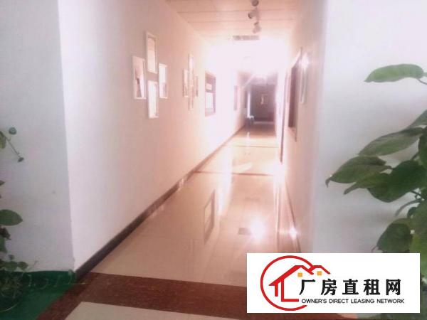 
		惠阳新圩东风新出1200平楼上标准厂出租，带装修
	