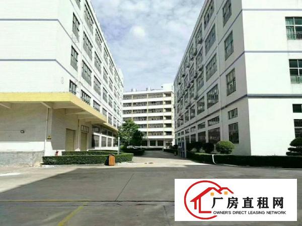 
		惠阳新圩东风新出1200平楼上标准厂出租，带装修
	