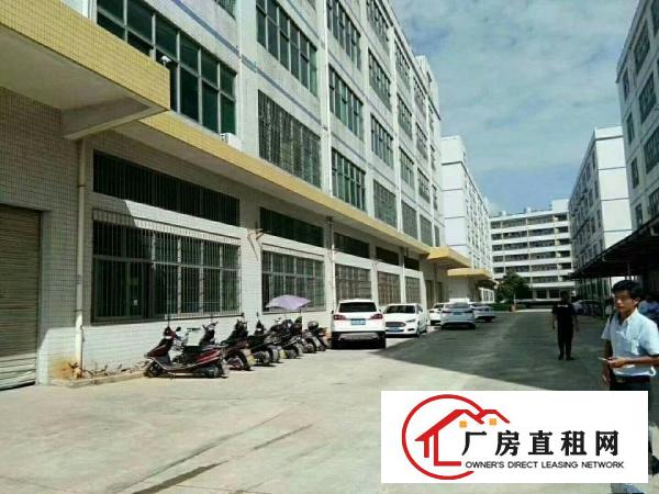 
		惠阳新圩东风新出1200平楼上标准厂出租，带装修
	