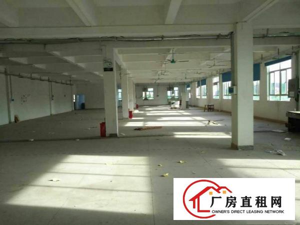 
		惠阳新圩南坑新出4000平原房东独院标准厂房出租
	