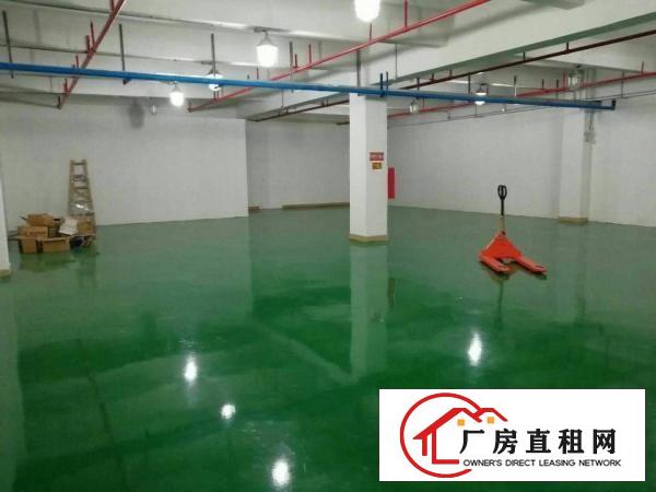 
		惠阳新圩长布小面积带装修厂房500平米
	