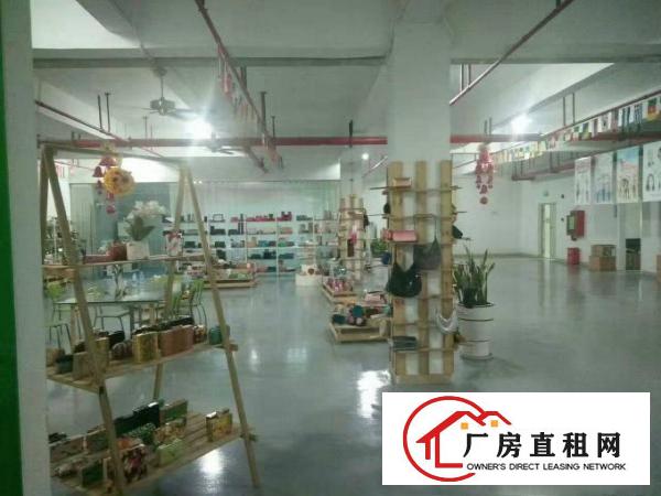 
		新圩国道边现成装修厂房900平米
	