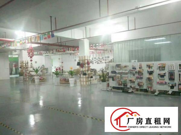 
		新圩国道边现成装修厂房900平米
	