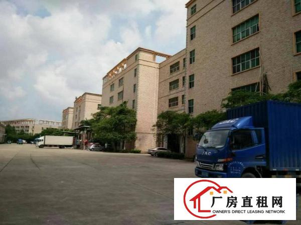 
		新圩国道边现成装修厂房900平米
	