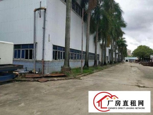 
		新圩南坑新出原房东滴水8米高钢构招租，可分租
	