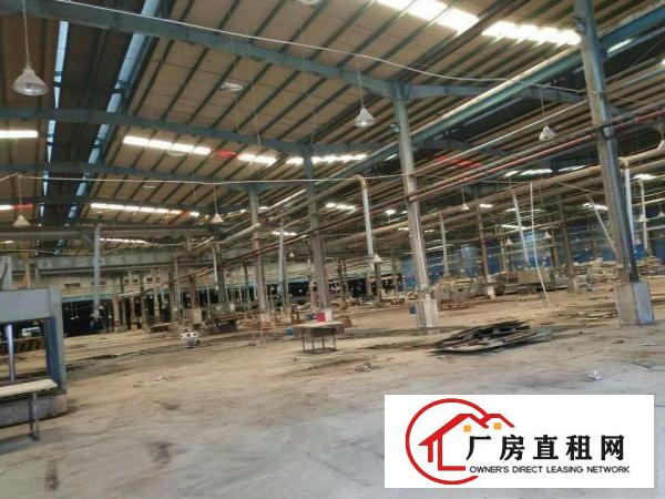 
		新圩南坑新出原房东滴水8米高钢构招租，可分租
	