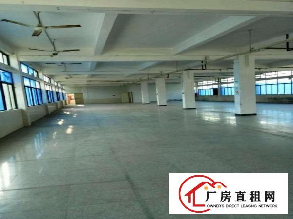 
		《可做污染》惠阳新圩新出可做污染独院厂房招租，电大
	