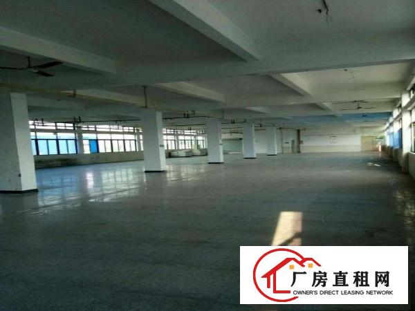 
		《可做污染》惠阳新圩新出可做污染独院厂房招租，电大
	