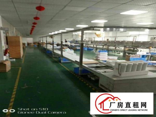 
		新圩新出3楼原房东厂房1026平，现成装修水电齐全
	
