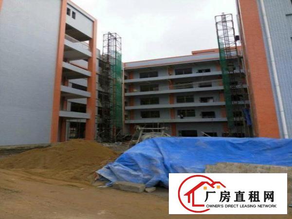 
		新圩高速附近原房东物业23000平方米招租(带牛角
	