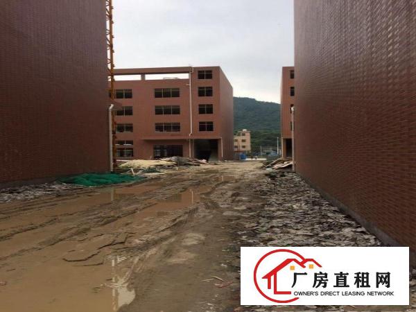 
		惠阳新圩全新独门独院四层厂房11000平方米招租
	