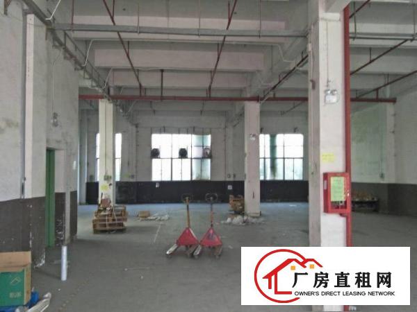 
		惠阳新圩11000平原房东独院厂房出租空地大可分租
	