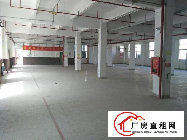 
		惠阳新圩11000平原房东独院厂房出租空地大可分租
	