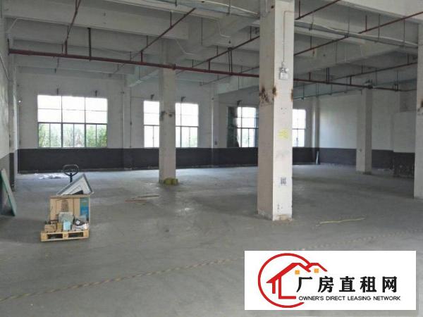 
		惠阳新圩11000平原房东独院厂房出租空地大可分租
	