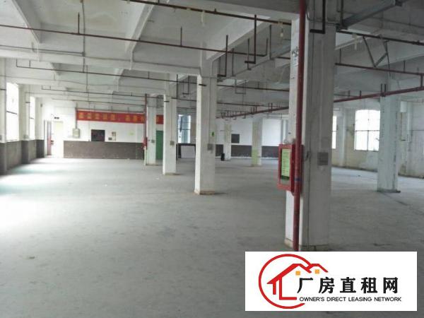 
		惠阳新圩11000平原房东独院厂房出租空地大可分租
	