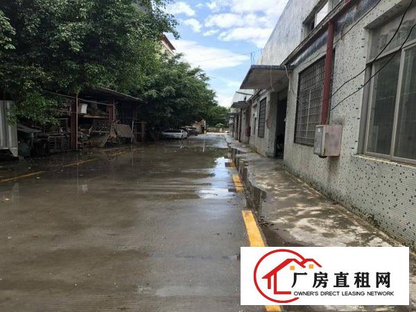 
		惠阳新圩新出4000平原房东钢构厂房招租
	