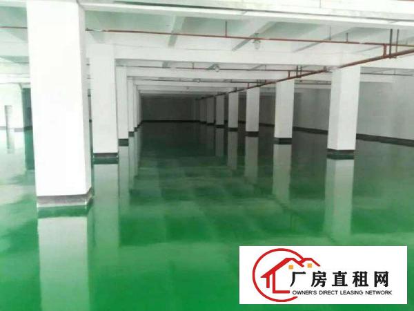 
		惠州新圩高速口现成装修独院3180平米厂房
	