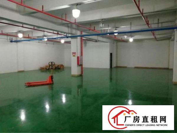 
		惠州新圩高速口现成装修独院3180平米厂房
	