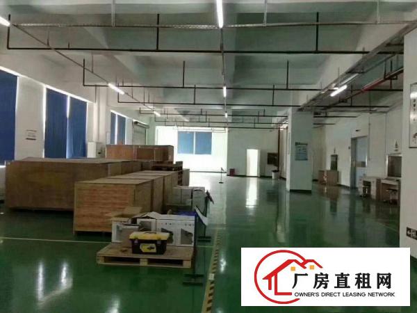 
		新圩刚出原房东厂房楼上2100平方零公摊
	