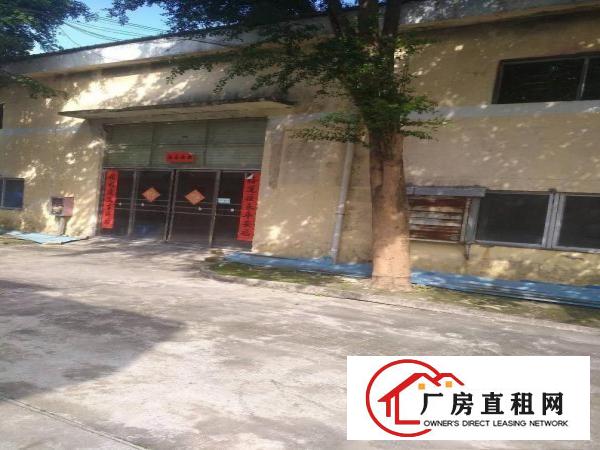 
		新圩约场独门独院厂房出租
	