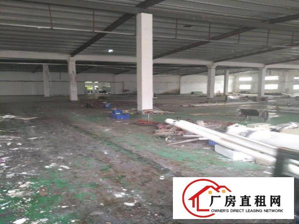 
		长布独门独院原房东单一层厂房1300平方出租
	