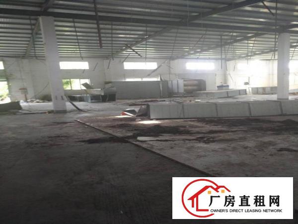 
		长布独门独院原房东单一层厂房1300平方出租
	