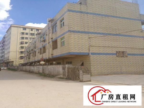 
		长布单一层滴水8米厂房1500平方
	