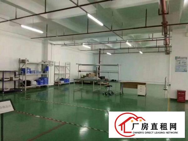 
		新圩约场市场楼上厂房1500平方出来
	