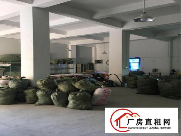 
		惠阳新墟独栋标准厂房
	