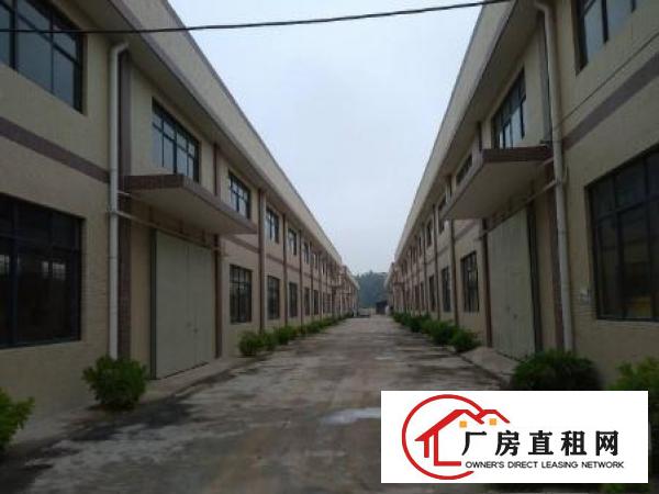 
		新圩东风4700平原房东红本钢结构厂房出租
	