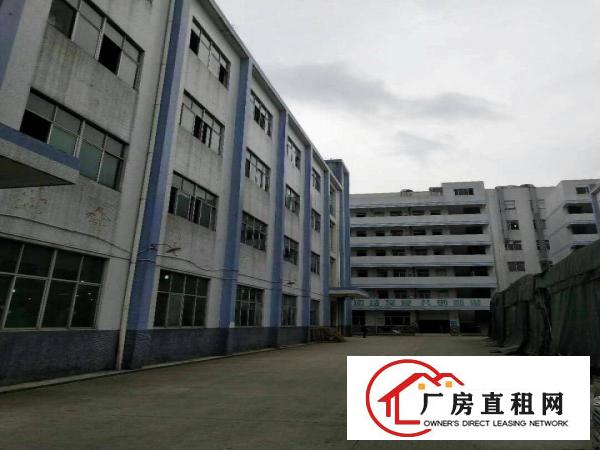 
		惠阳新圩标准厂房6500平方出租，带装修
	