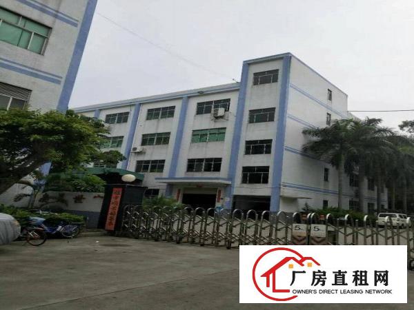 
		惠阳新圩标准厂房6500平方出租，带装修
	