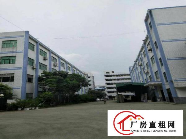 
		惠阳新圩标准厂房6500平方出租，带装修
	