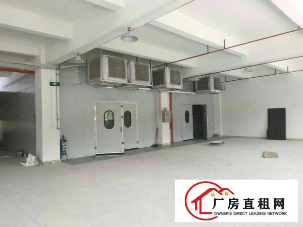 
		惠阳新圩原房东厂房5500平方出租，带装修
	