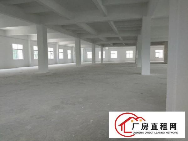 
		原房东全新红本独院14580平方
	