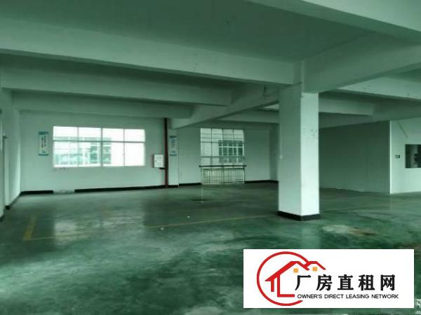 
		惠阳新圩高速路口3220平方独栋厂房出租
	