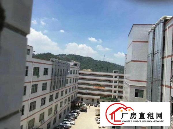 
		惠阳新圩靠近深圳地区工业园标准厂房12000平
	