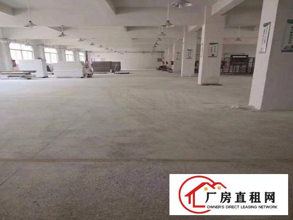 
		惠阳新圩独院厂房单层4800平带电梯可分租
	