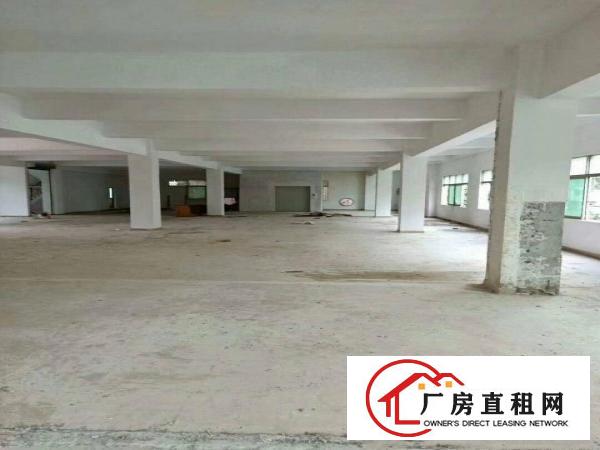 
		惠阳新圩独院厂房单层4800平带电梯可分租
	