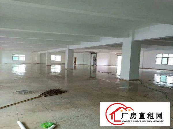 
		惠阳新圩独院厂房单层4800平带电梯可分租
	