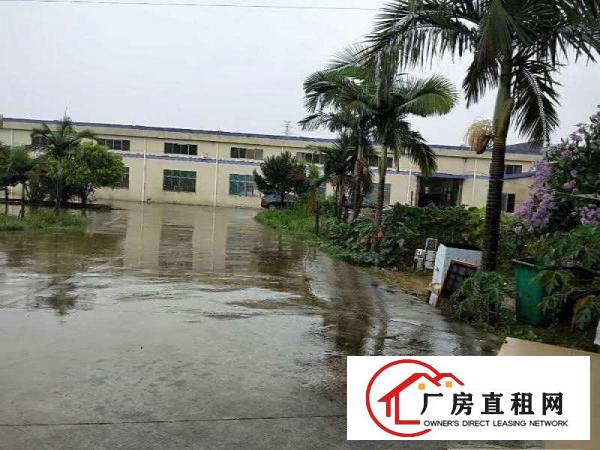 
		新墟原房东0公摊15000钢构独院，可分租
	