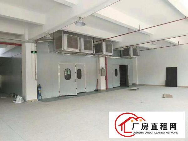
		新墟5600平独院，可做喷油，证件齐全
	