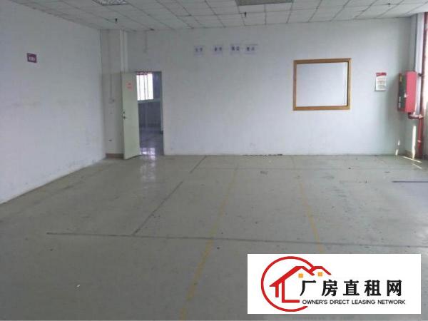 
		新墟24300平独院，带精装修，可做污染行业
	