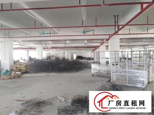 
		新墟24300平独院，带精装修，可做污染行业
	