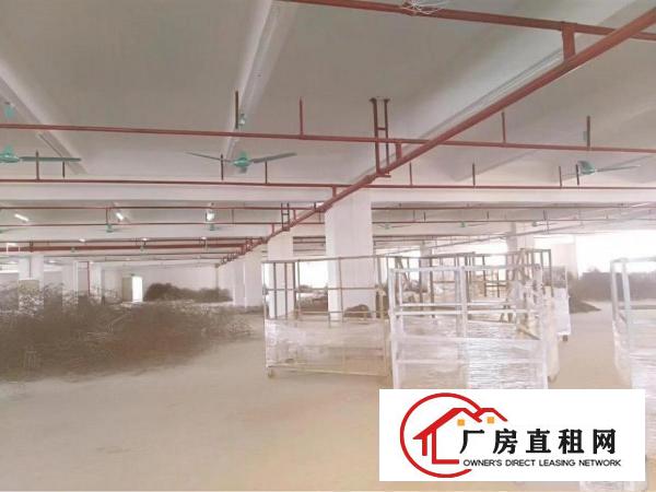 
		新墟24300平独院，带精装修，可做污染行业
	