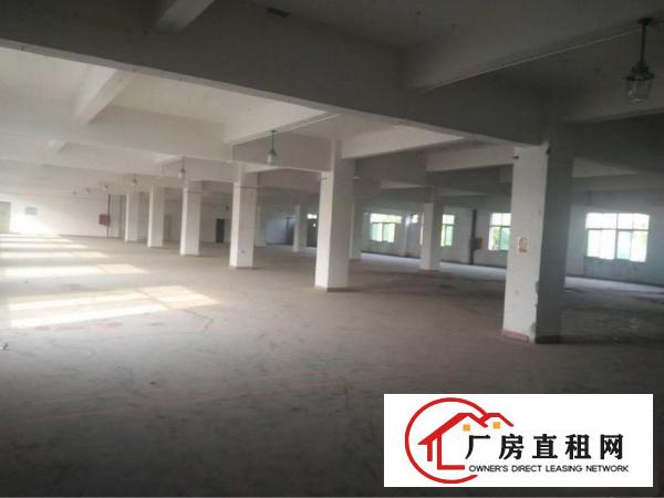 
		新墟3200平独院，可做喷油，家私行业
	