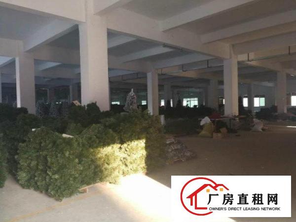 
		独门独院一楼2500平
	