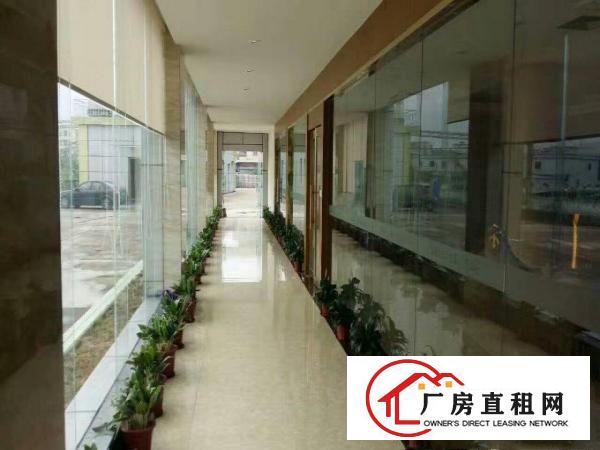 
		镇隆新出层高11米重工钢构厂房10000平米出租
	