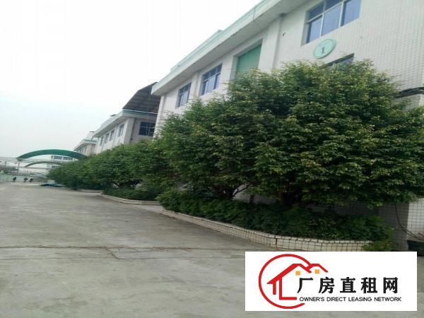 
		惠阳镇隆独院靓厂房16600平米
	
